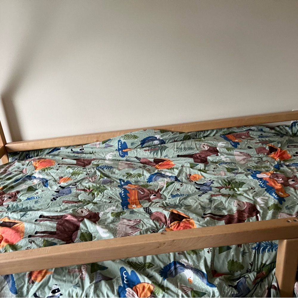 The Company Store Kids Animal Adventure Sheet Set twin set with sheets